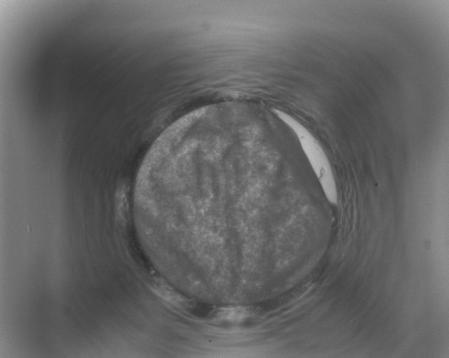 X0000070190127200606232023