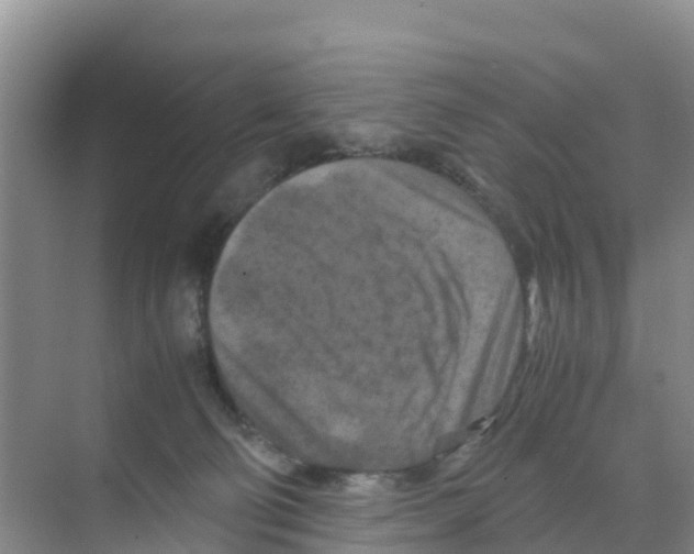 X0000070190130200606232022