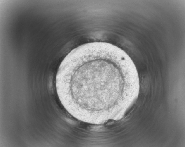 X0000070190132200606232022