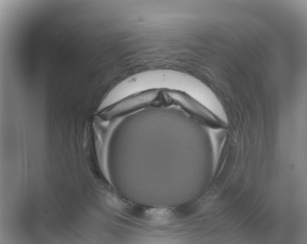 X0000070190133200606232022