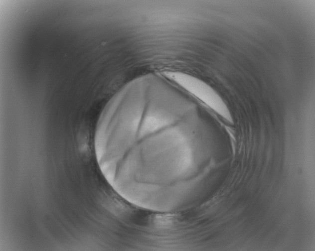 X0000070190134200606232022