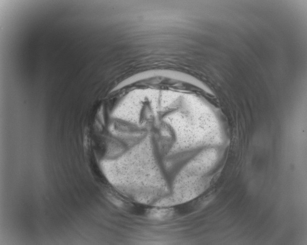 X0000070190135200606232022