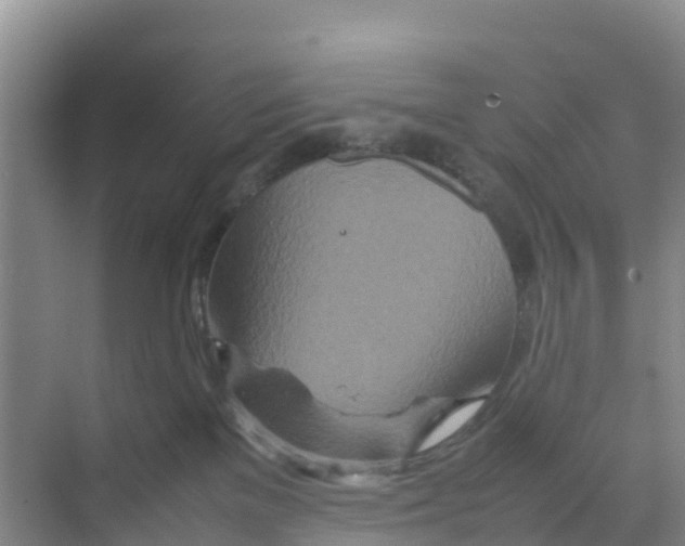 X0000070190137200606232022