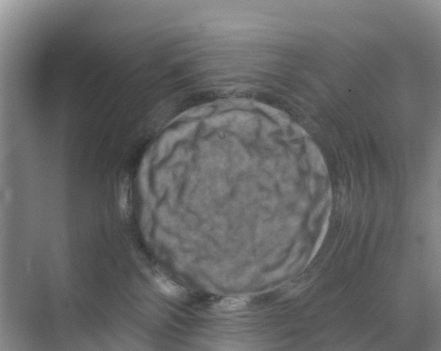 X0000070190138200606232022