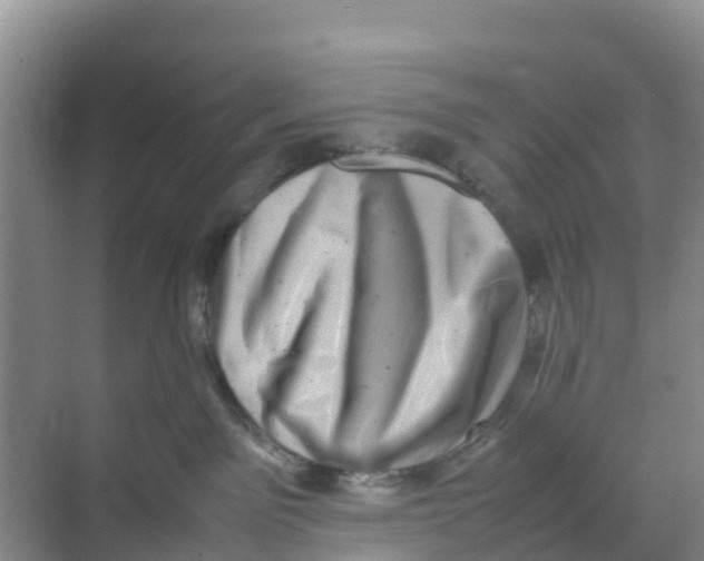 X0000070190141200606232022