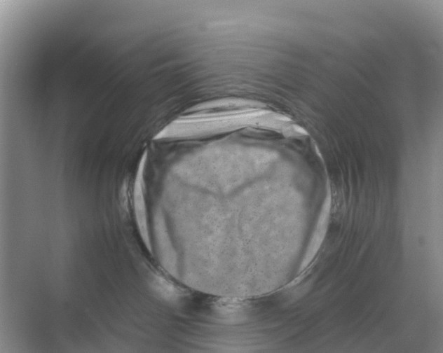 X0000070190142200606232022