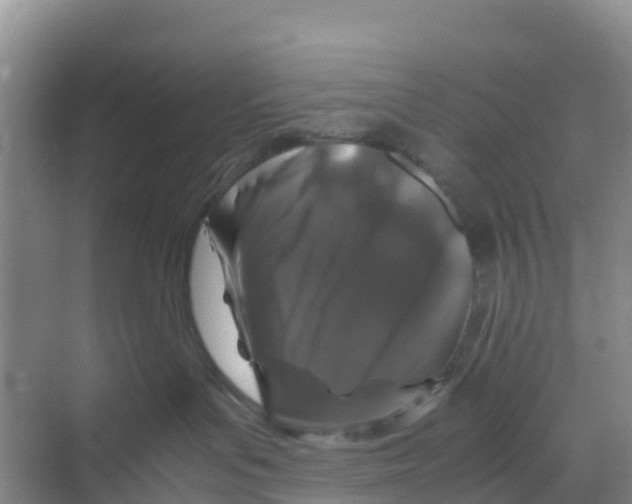 X0000070190143200606232022