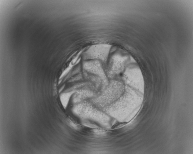 X0000070190144200606232022