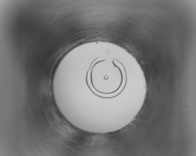 X0000070190146200606232021