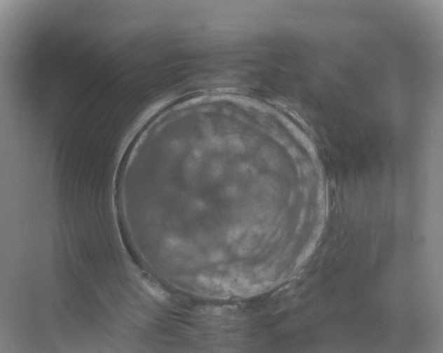 X0000070190147200606232021