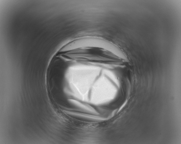 X0000070190148200606232021