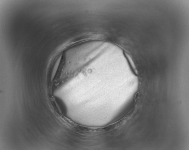 X0000070190149200606232021