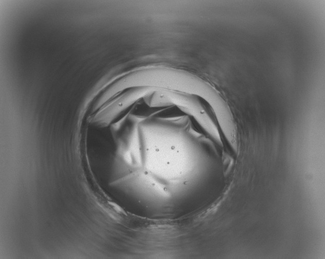 X0000070190150200606232021