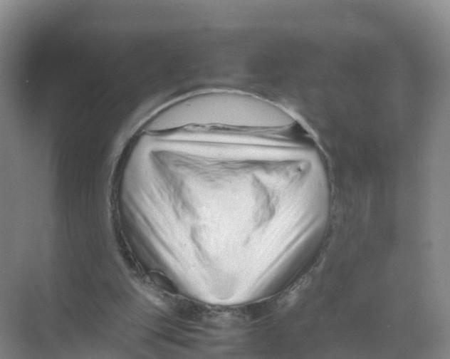 X0000070190151200606232022