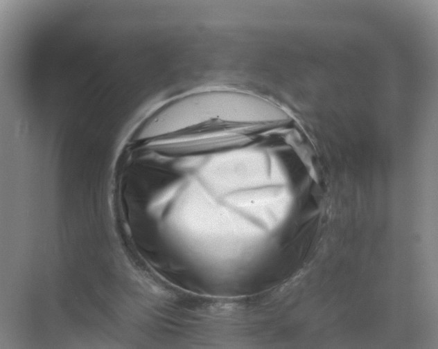 X0000070190152200606232022