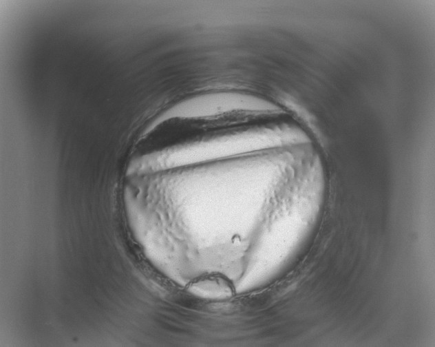 X0000070190153200606232022