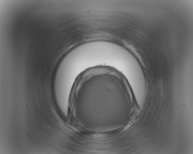 X0000070190154200606232022