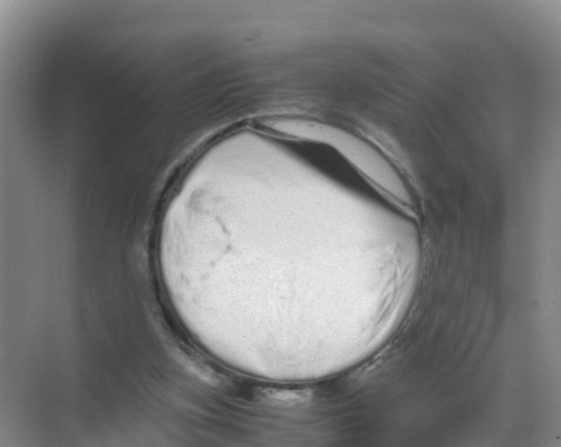 X0000070190155200606232022