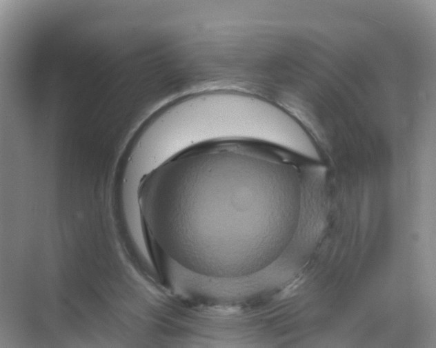 X0000070190156200606232022