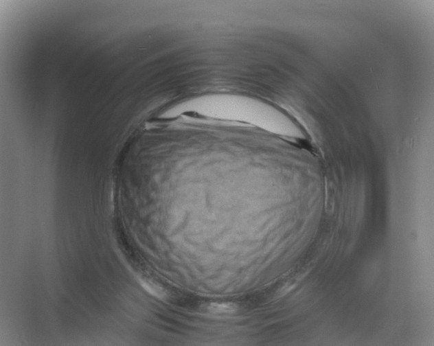 X0000070190157200606232022