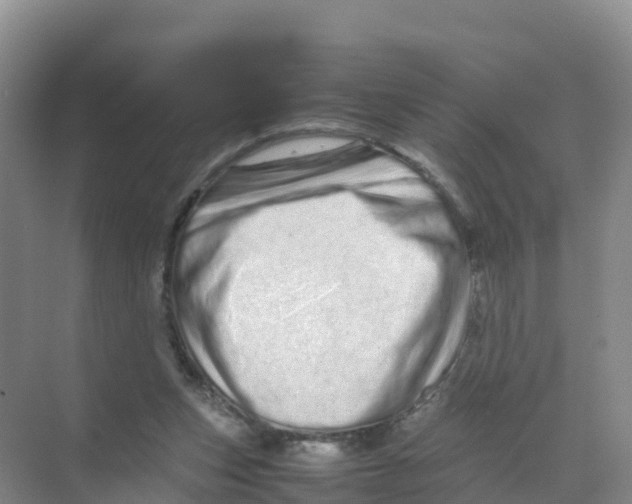 X0000070190159200606232022