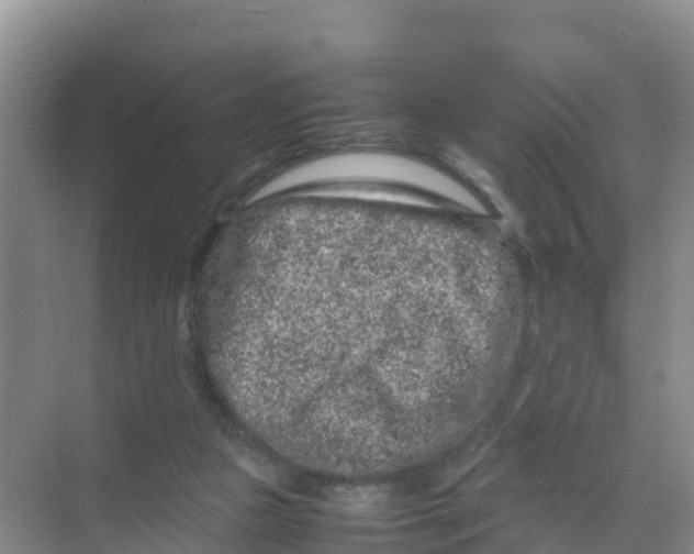 X0000070190161200606232022