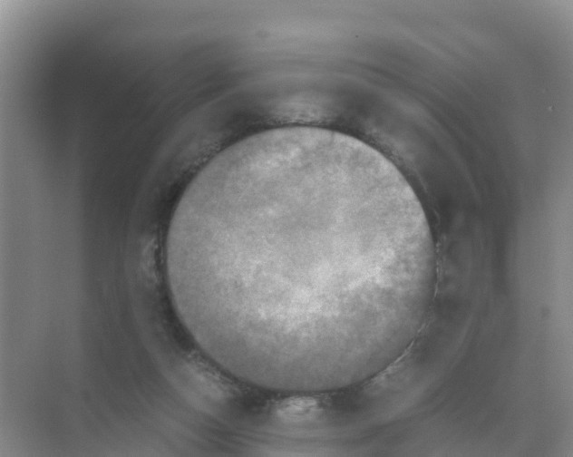 X0000070190162200606232022