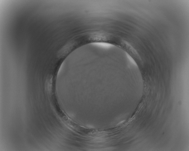 X0000070190163200606232022