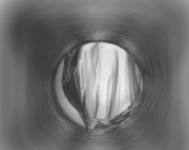 X0000070190164200606232022