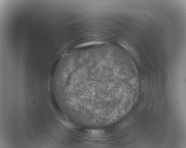 X0000070190165200606232022