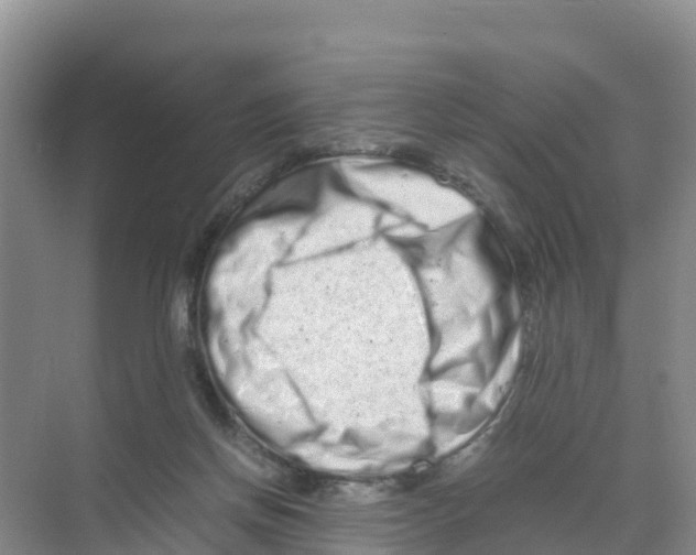 X0000070190166200606232022