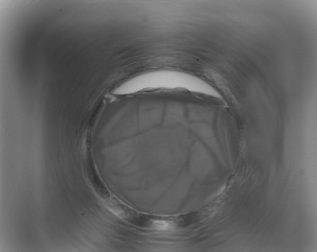 X0000070190167200606232022