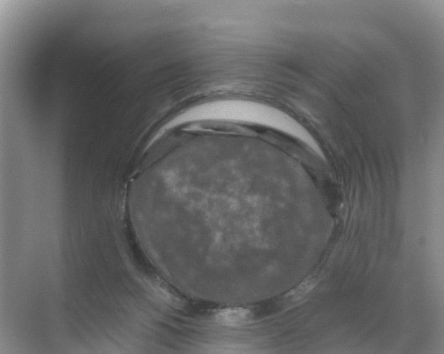 X0000070190168200606232022