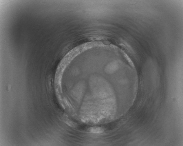 X0000070190169200606232022