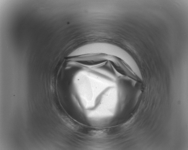 X0000070190170200606232022