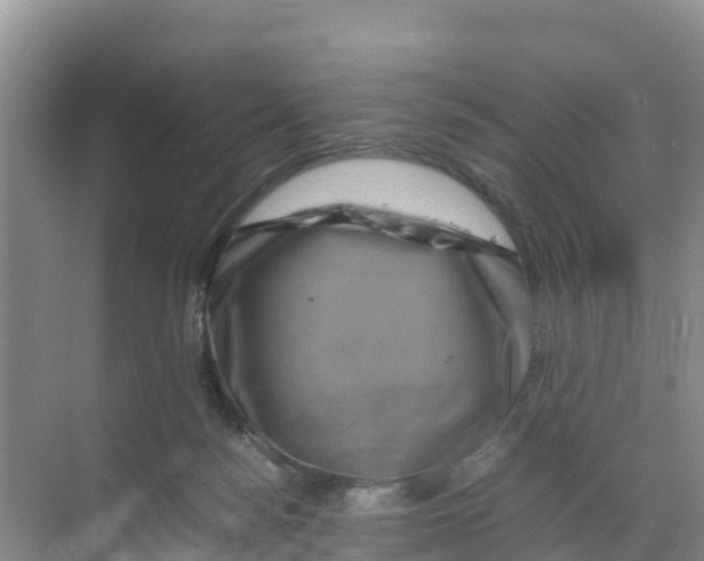 X0000070190172200606232022