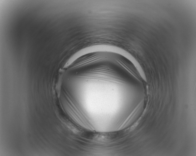 X0000070190174200606232022