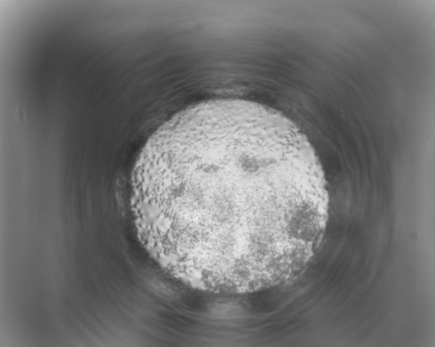 X0000070190175200606232022