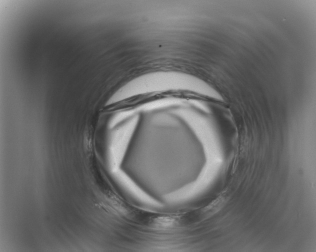 X0000070190176200606232022