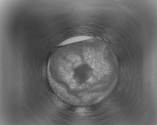 X0000070190177200606232022