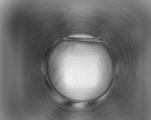 X0000070190178200606232022