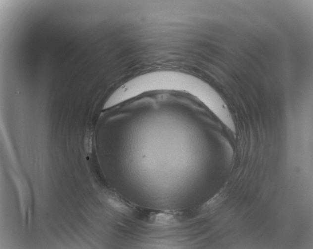 X0000070190180200606232022