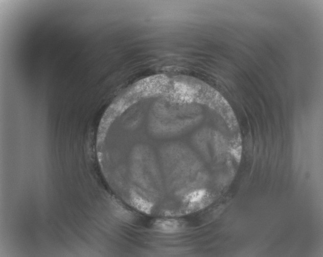 X0000070190181200606232022