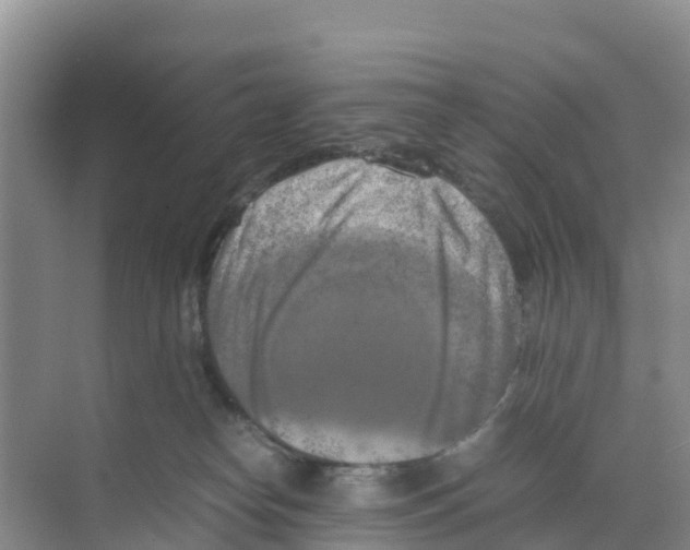 X0000070190182200606232022