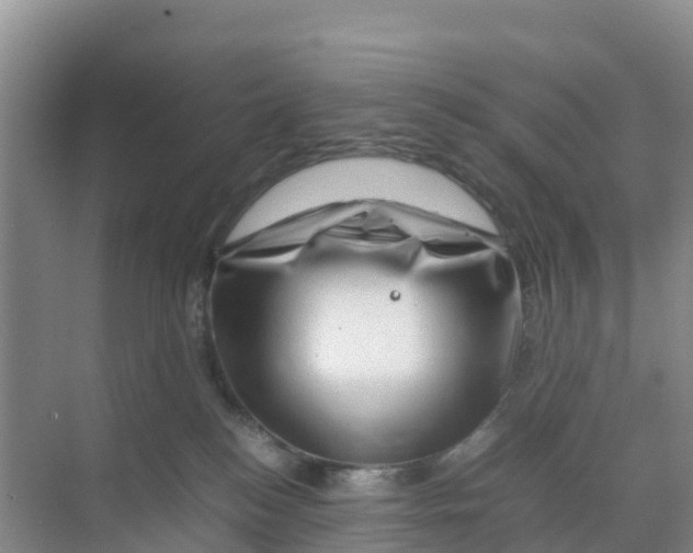 X0000070190184200606232022