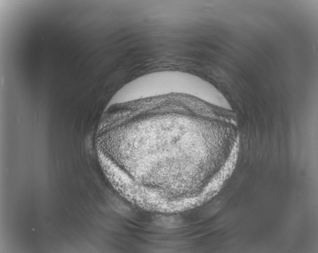 X0000070190185200606232022