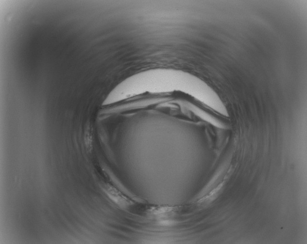 X0000070190186200606232022