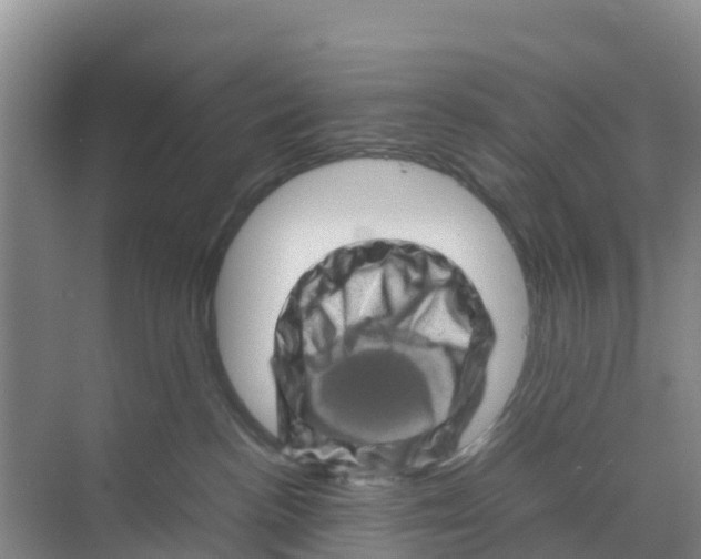 X0000070190188200606232022