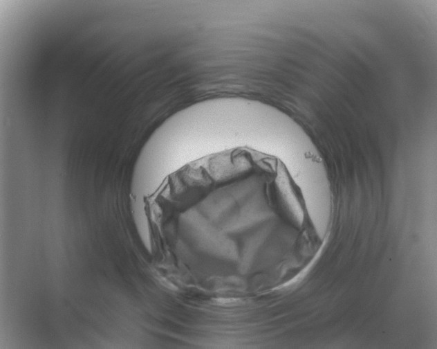 X0000070190190200606232022