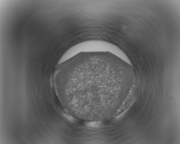 X0000070190191200606232022